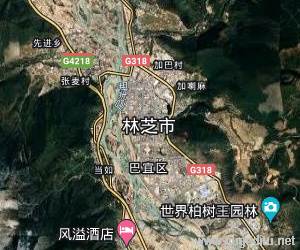 林芝地區衛星地圖